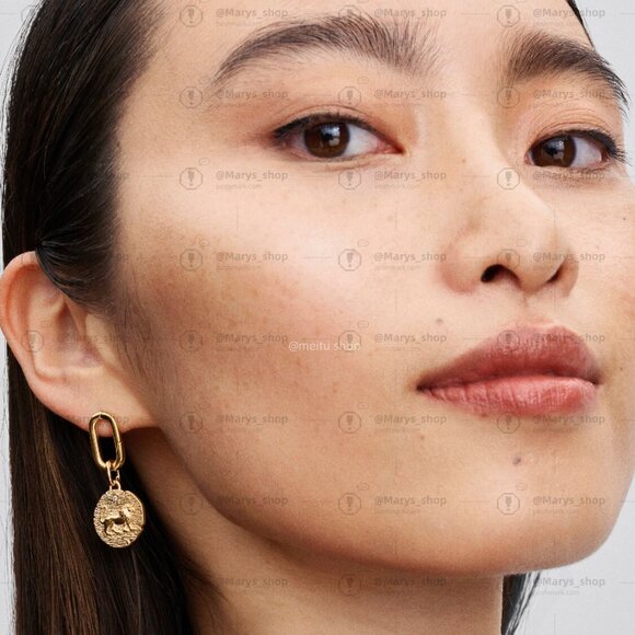 Pandora Lion Medallion Charm - Picture 5 of 6